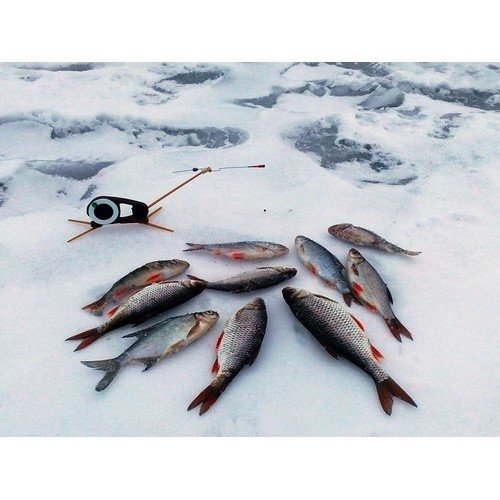 Механический сигнализатор поклёвки Журавлик